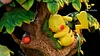 Sleeping Pikachu - Pokemon Resin Statue - DM Studios [In Stock]