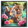 (US Local)Tiger-11CT Stamped Cross Stitch Kit(50x50cm)