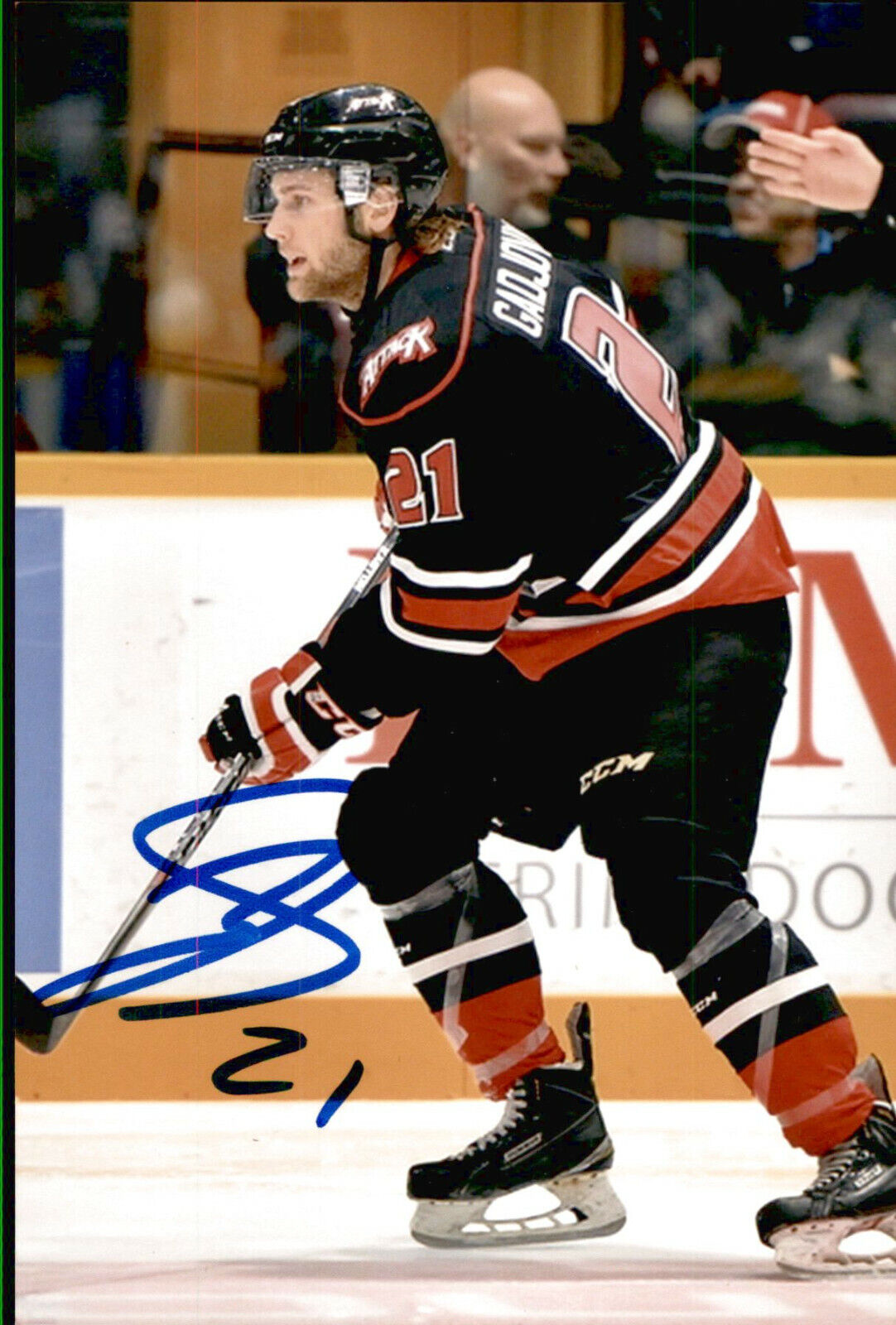 Jonah Gadjovich SIGNED 4x6 Photo Poster painting OWEN SOUND ATTACK / SAN JOSE SHARKS #2