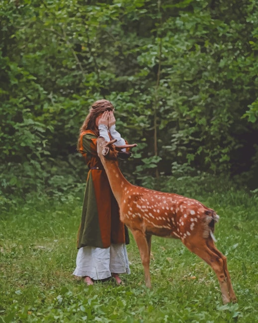 

Deer And Girl Photography – Paint By Numbers - 40*50CM, 501 Original