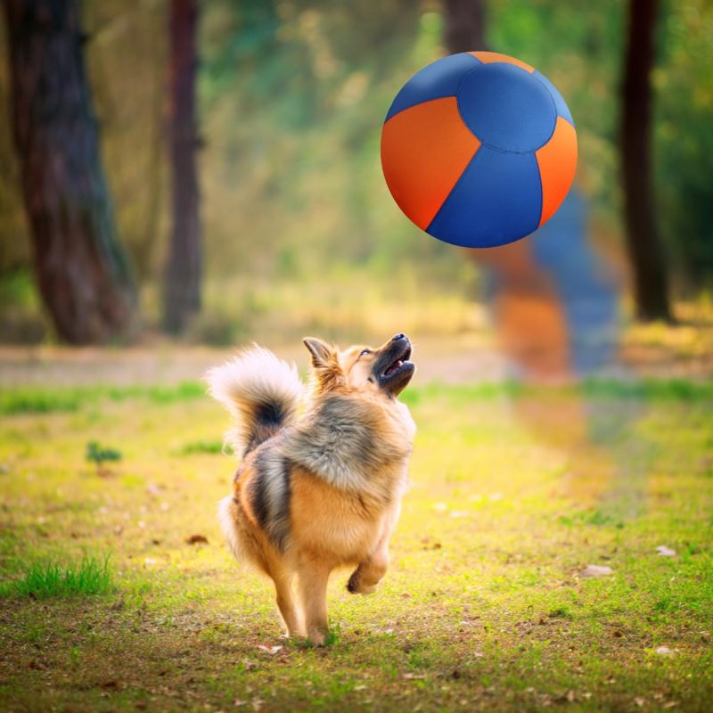 Pet Teeth Grinding Inflatable Training Ball