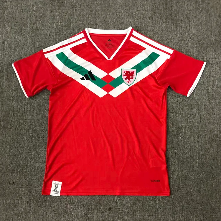 【S~4XL】Wales 2026 World Cup Special Edition Jersey