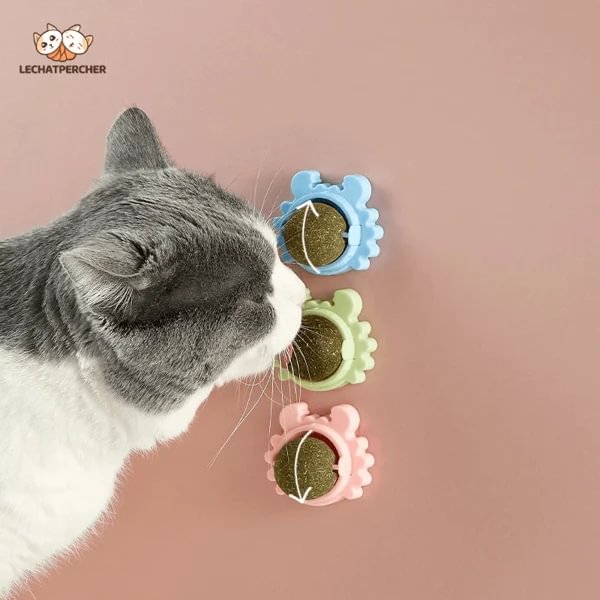 CATNIP WALL BALL(Buy More Save More)