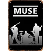 Muse - Panneaux en &eacute;tain m&eacute;tallique(20*30cm/30*40cm) - Musique