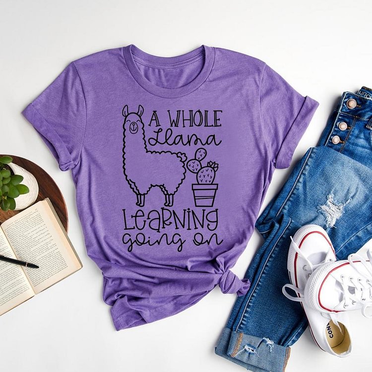 ANB - A Whole Llama Learning Going On Teacher Book Lovers Tee-06702