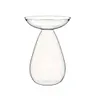 Avocado Seed Starter Vase Transparent Glass Avocado Tree Flower Vase for Balcony