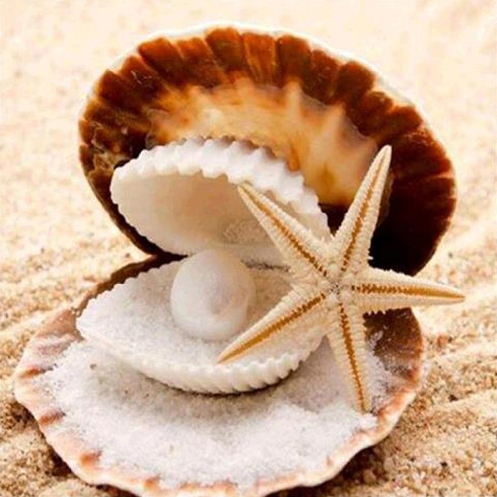 

30*30CM-Round Drill Diamond Painting-Pearl Shell, 501 Original