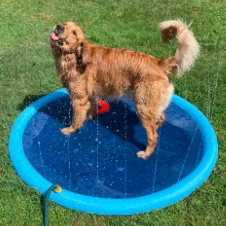 Refreshing Dog Sprinkler Pad - tree - Codlins