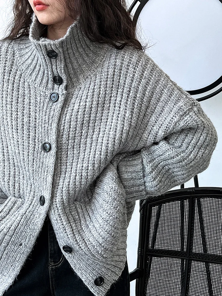 Loose Wool Turtleneck Sweater Outerwear