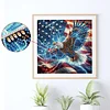 Diamond Painting-DIY Crystal Rhinestone Flag Eagle