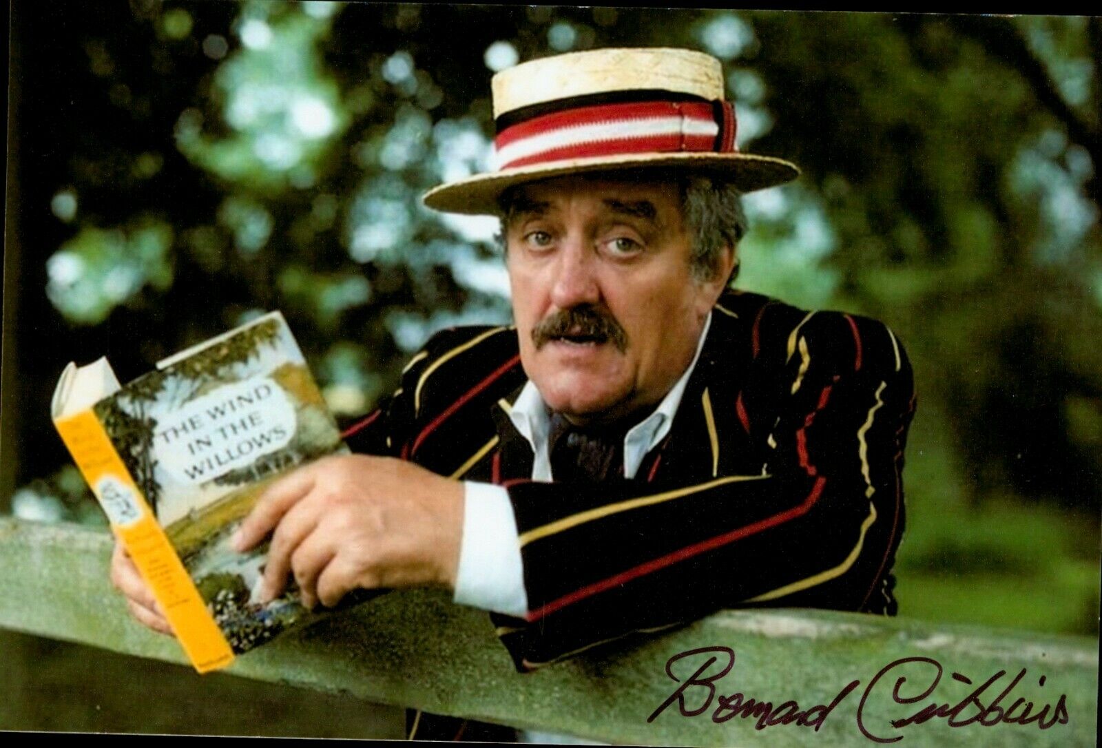 Bernard Cribbins Signed 6x4 Photo Poster painting Jackanory Wombles Doctor Who Autograph + COA