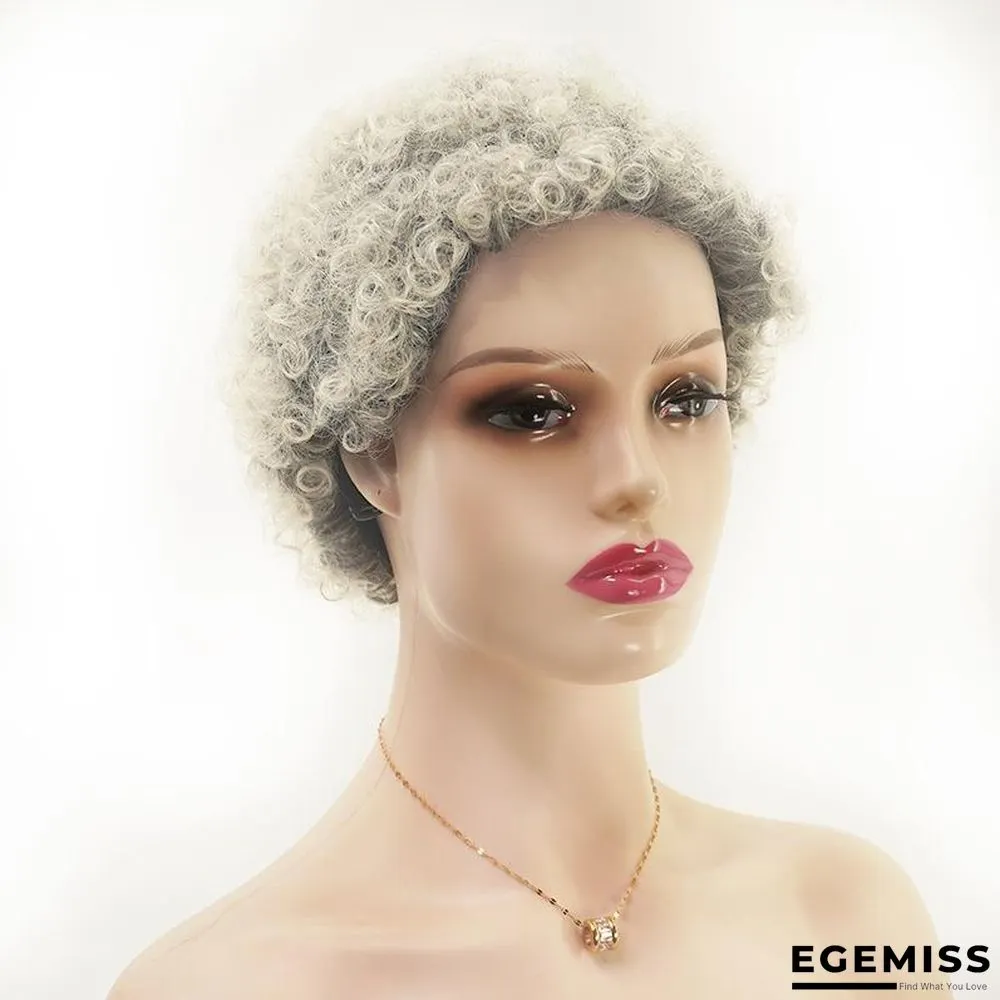 African Small Wig Female Short Curly Hair Explosion Head Chemical Fiber Hair Hood | EGEMISS