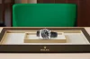 Rolex 336239 Sky-Dweller - New