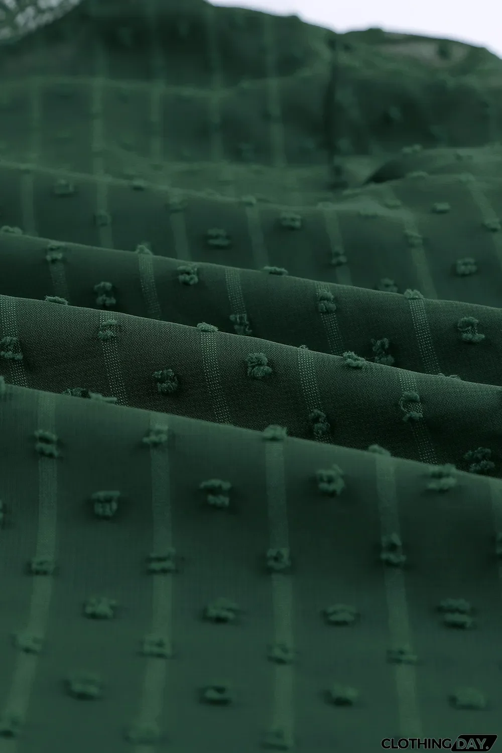 Elegant V-Neck Swiss Dot Lace Blouse