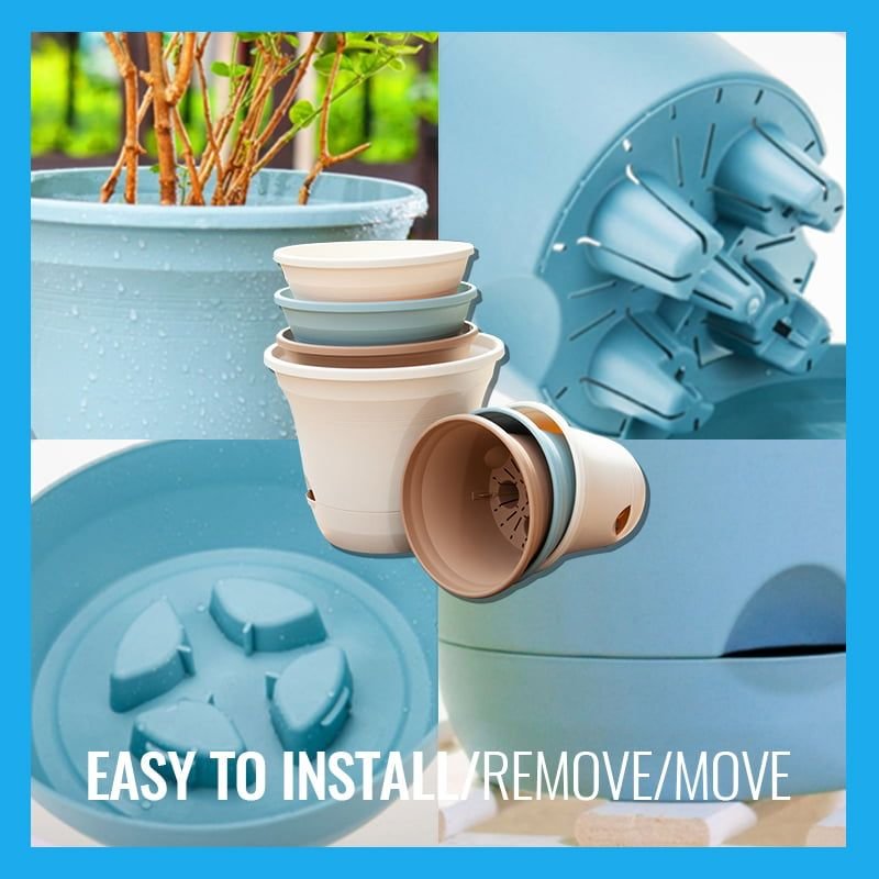 Water-Absorbing Flowerpot with Tray | IFYHOME