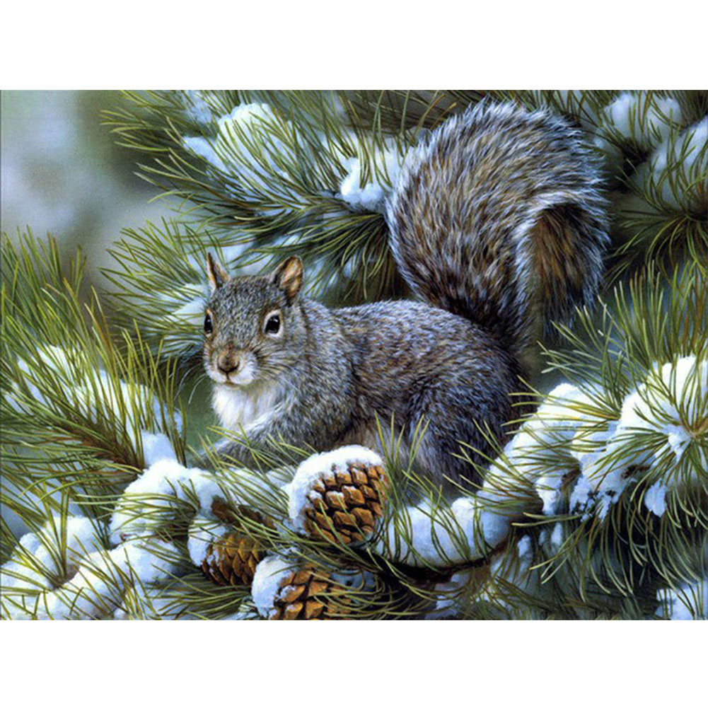 

Grey Squirrel - Square Drill Diamond Painting - 50*40CM, 501 Original