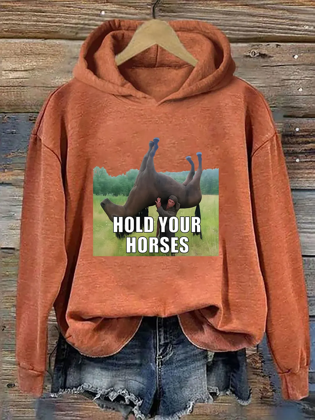 Hold Your Horses Funny Hoodie