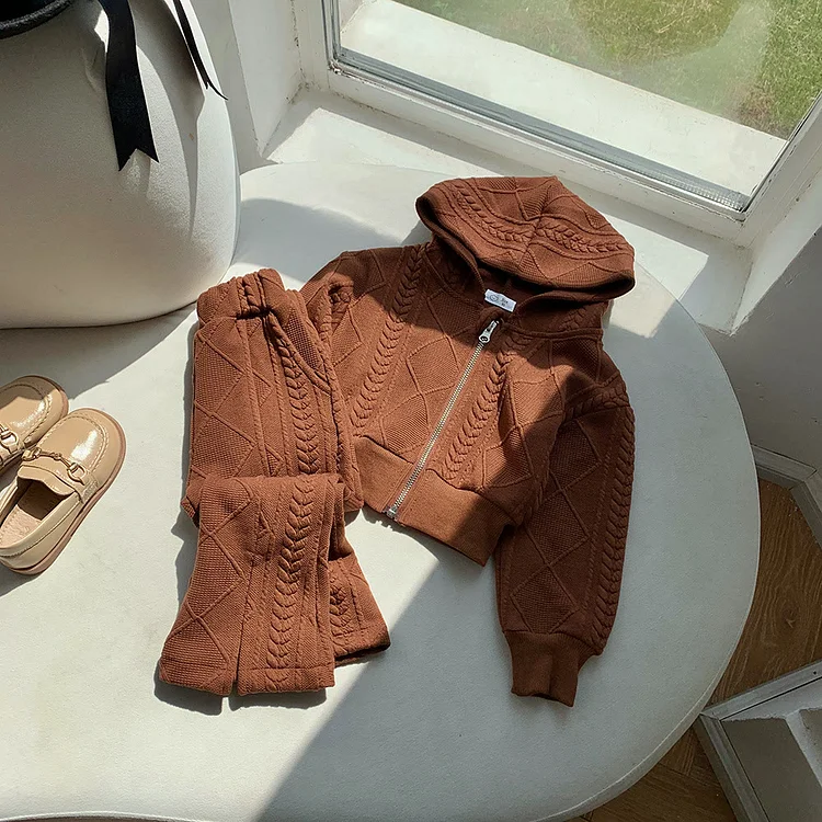 Toddler Hooded Solid Color Knitted 2 Pieces Set