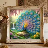 Peacock -Special Shaped Diamond Painting
