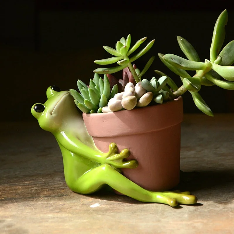Creative Clay Pots with Frog Ornament Succulent Pot Plant Pot Cactus Planter Pots Nursery Pot Garden Pot Home Decoration