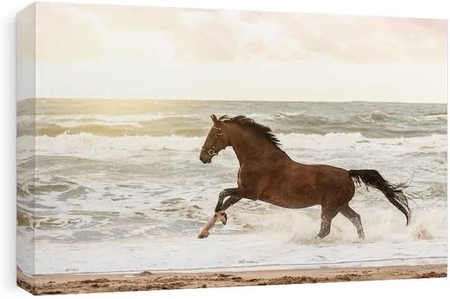CafePress Canvas Wall Art Horse Freedom at The Beach Ready to Hang for Living Room, Bedroom or Office 15x10