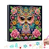 Diamond Painting-DIY Special Shaped Drill Rose Surrounded Mandala Owl with Frame(29x29cm)