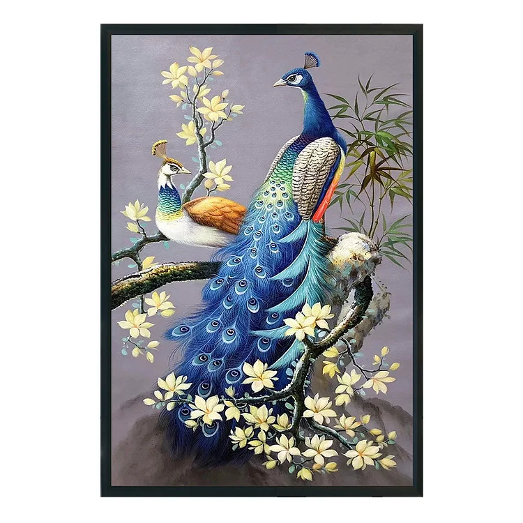 『DIY』Peacock on Magnolia Bough - 11CT Stamped Cross Stitch(40*60cm)