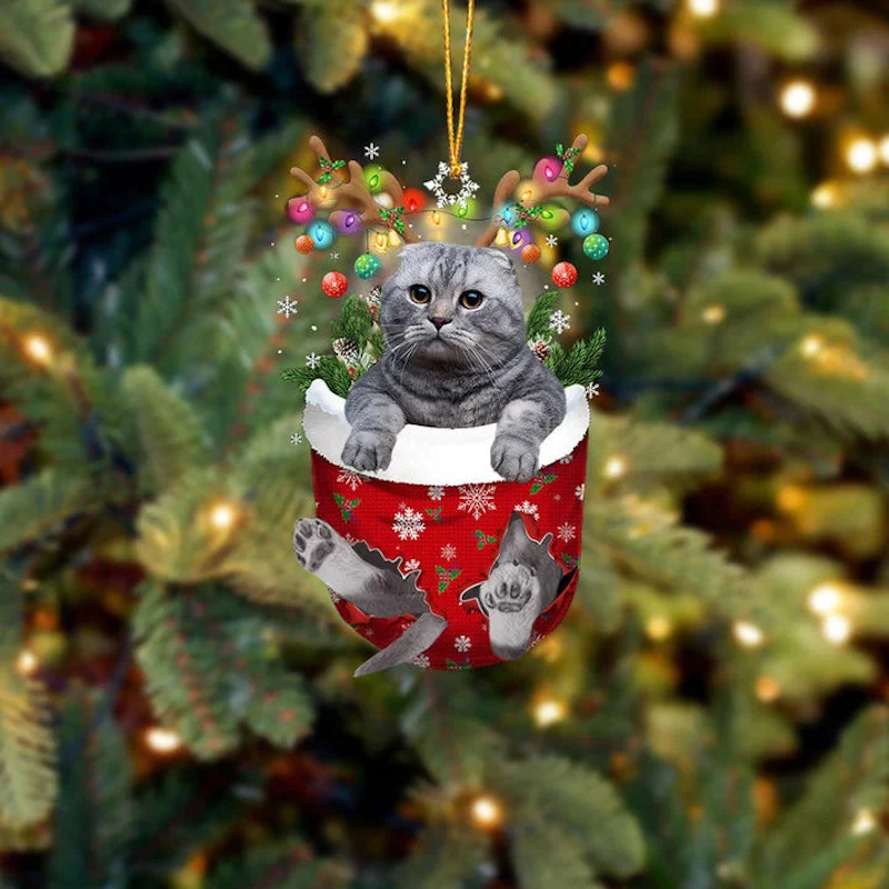 VigorDaily Scottish Fold Cat In Snow Pocket Christmas Ornament SP199
