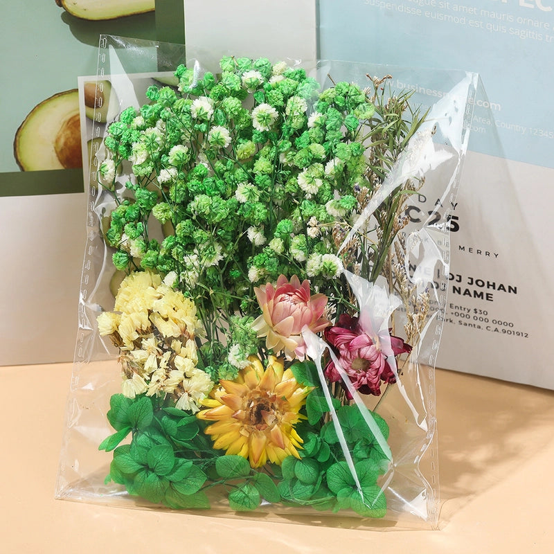 Flower Dried Flower Party Dried Flower