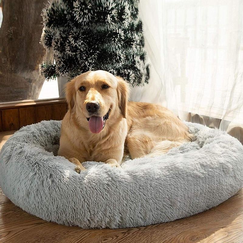 Soothing Dog Bed