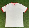 2025 Tunisia National Team Away Football Shirt 1:1 Thai Quality