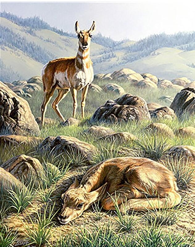 

Deers In the Mountain – Paint By Numbers - 40*50CM, 501 Original