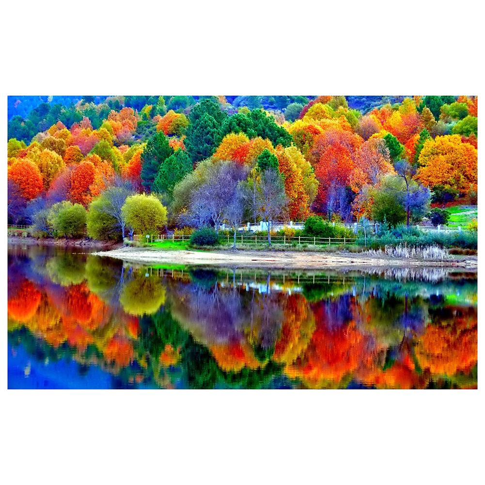 

Colorful Forest - Round Drill Diamond Painting - 40*30CM, 501 Original