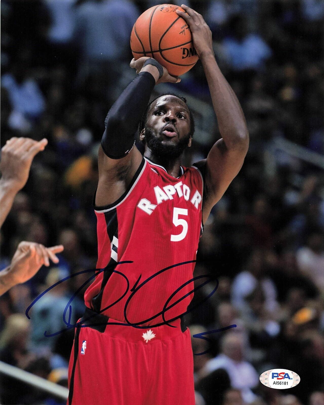 DeMarre Carroll signed 8x10 Photo Poster painting PSA/DNA Toronto Raptors Spurs Autographed