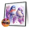 Diamond Painting - Full Round Drill - Birds(Canvas|30*30cm)