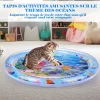 Tapis sensoriel gonflable d'eau de temps de ventre pour l'animal de compagnie de b&eacute;b&eacute;