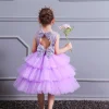 Girl Ceremonies Dress Wedding Party Birthday Gown Vestidos Tutu Dress - honeylives