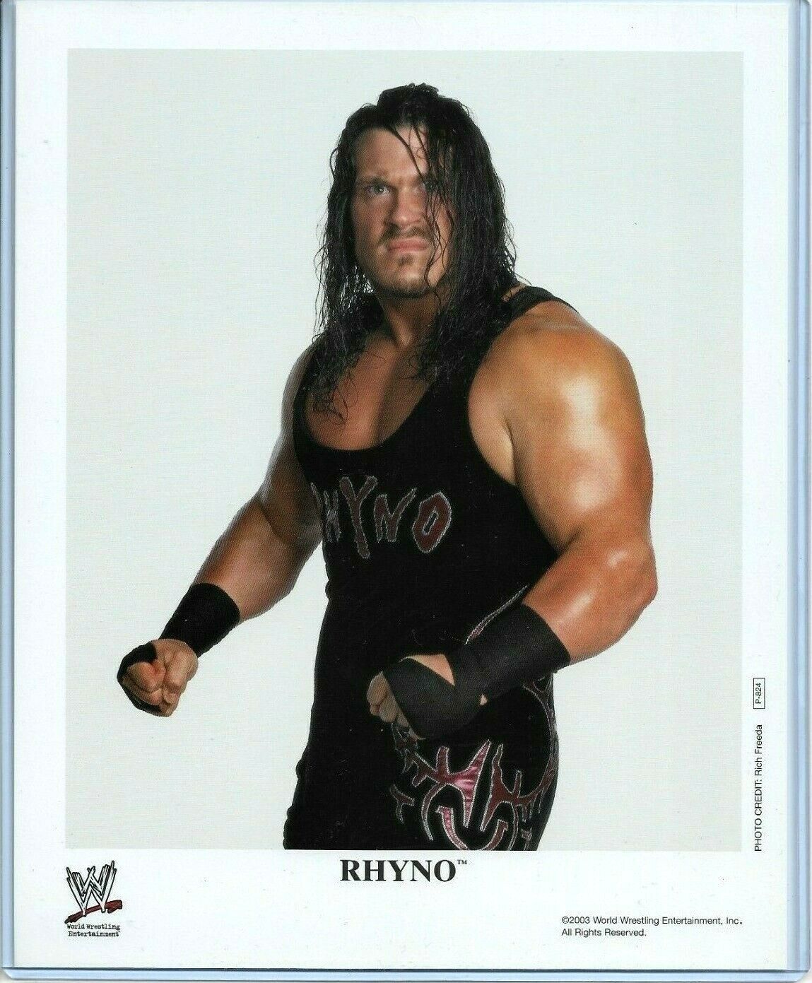 WWE RHYNO P-824 OFFICIAL LICENSED AUTHENTIC ORIGINAL 8X10 PROMO Photo Poster painting RARE