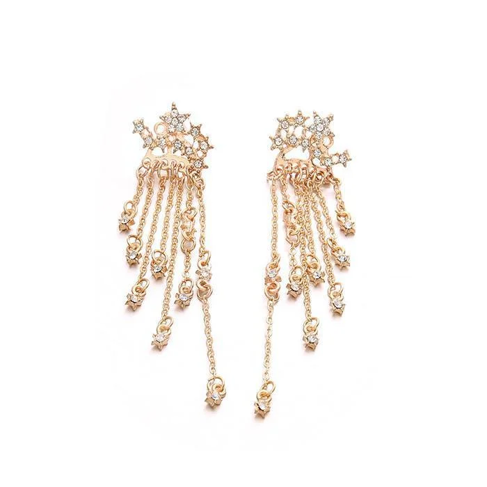 Shining Star Tassel, Back Hanging Exquisite Earrings