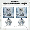 (25x25cm)DIY Owl Framed Handmade Pearl Painting Art Craft Kit Living Home Decor