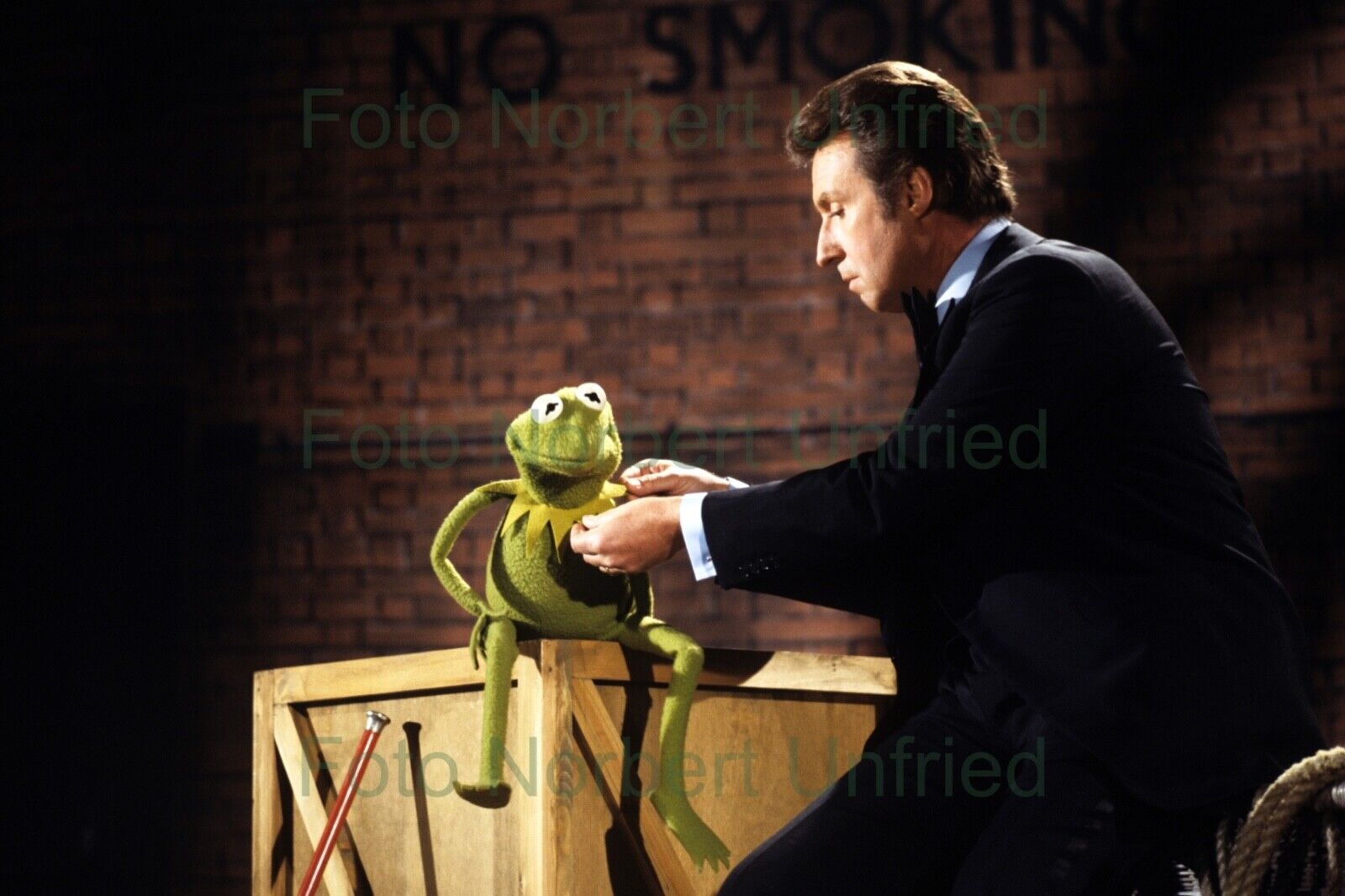 Peter Alexander Muppet Kermit Foto 20 x 30 cm ohne Autogramm (Nr 2-347