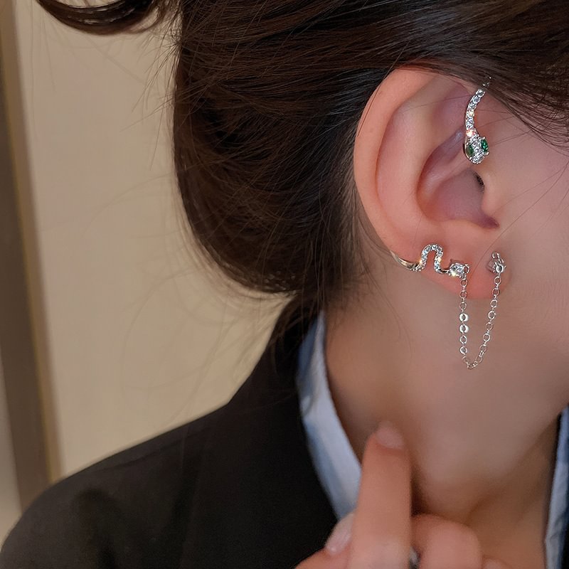 Snake-shaped earrings retro ear hooks one