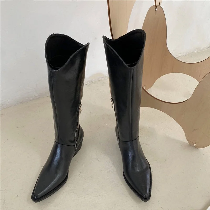 Women's High Heels Wedges Boots Lady Riding Cowboy Long Boots 2021 Spring Winter Designers Pointed Toe Knee Fashion Female Boot