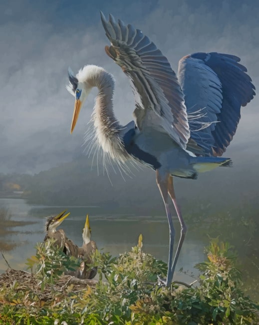 

Vintage Great Blue Heron – Paint By Numbers - 40*50CM, 501 Original
