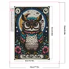 Diamond Painting -DIY Round Partial AB Drill Owl(45x65cm)