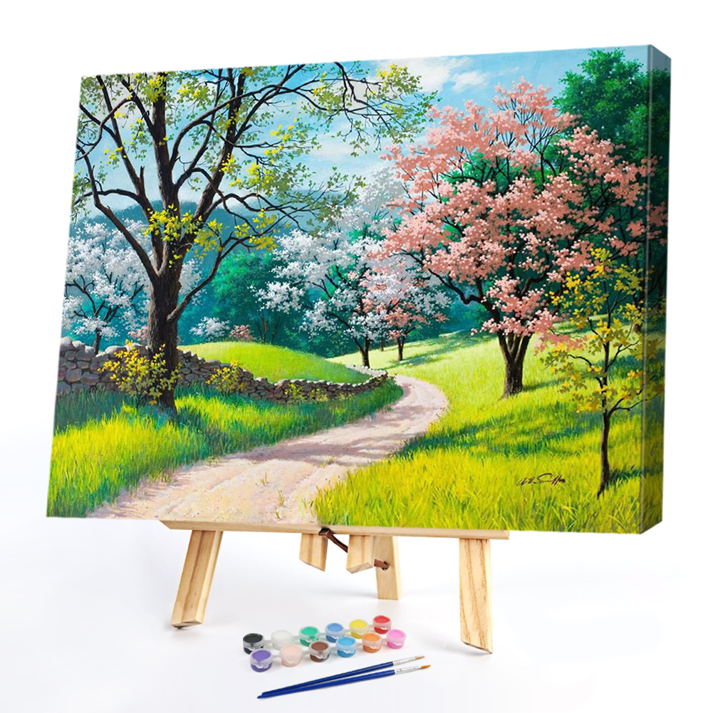 

50*40CM - Paint By Numbers - Mountain Path, 501 Original