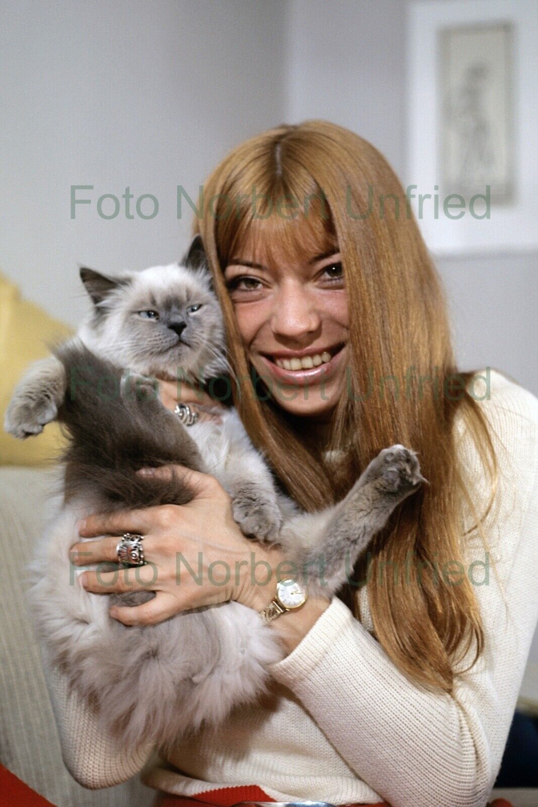 Katja Ebstein With Cat Music TV - 20 X 30 CM Photo Poster painting Not Signed Nr 2-6