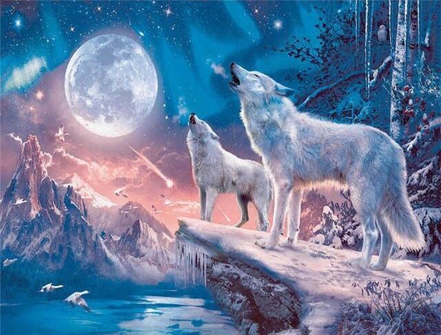 

Northern Light Wolves – Paint By Numbers - 40*50CM, 501 Original