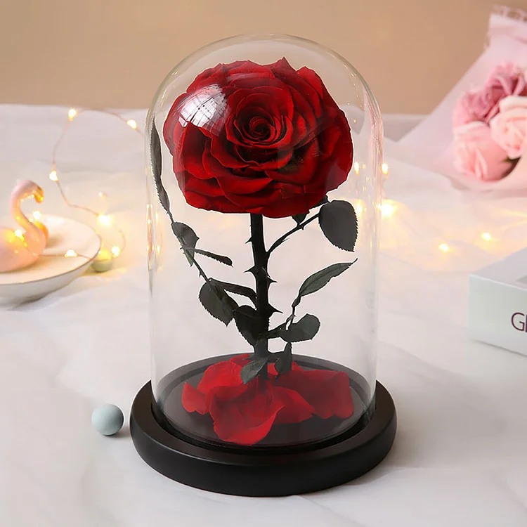 Little Prince Rose Black Base Glass Cover Everlasting Flower