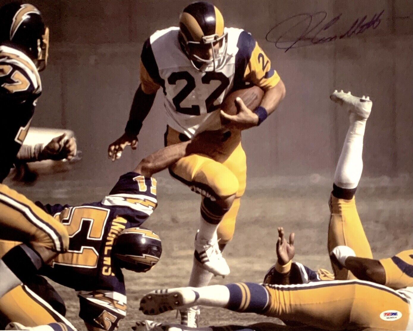 John Cappelletti Signed Los Angeles Rams 16x20 Photo Poster painting PSA 4A36514